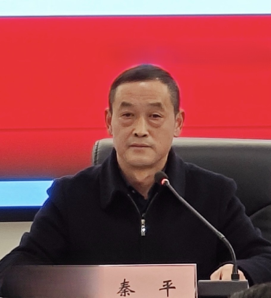 秦平（副总经理）